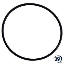 O'RING, SS L-RING VLT 5200#